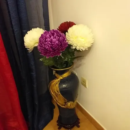 Dom wakacyjny Pons Caesaris Pontecesures