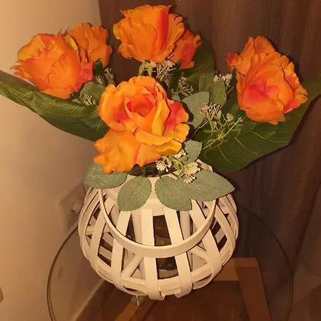 Pons Caesaris Prázdninový dům *