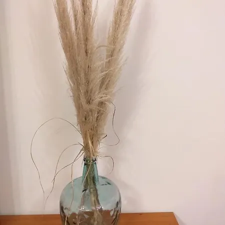 Pons Caesaris Dom wakacyjny