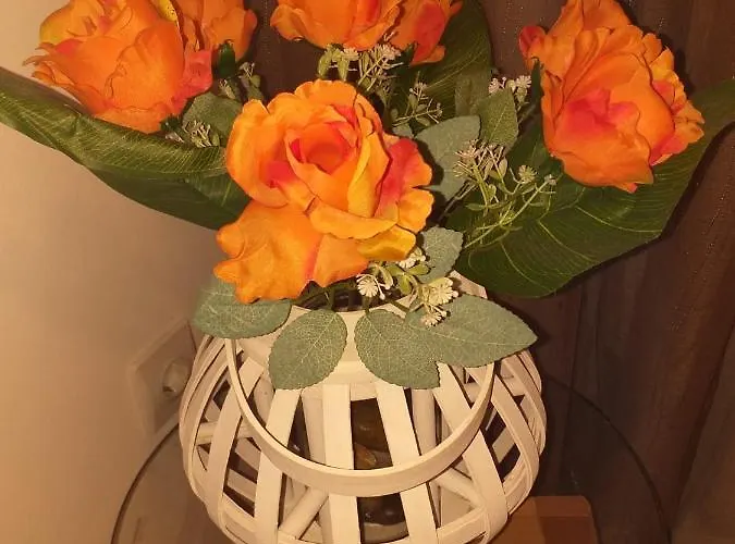 Pons Caesaris Σπίτι διακοπών *